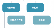 测量废水中的磷